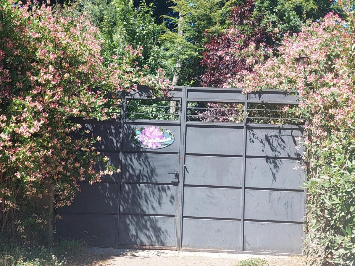 Los Rododendros Villa La Angostura Zewnętrze zdjęcie